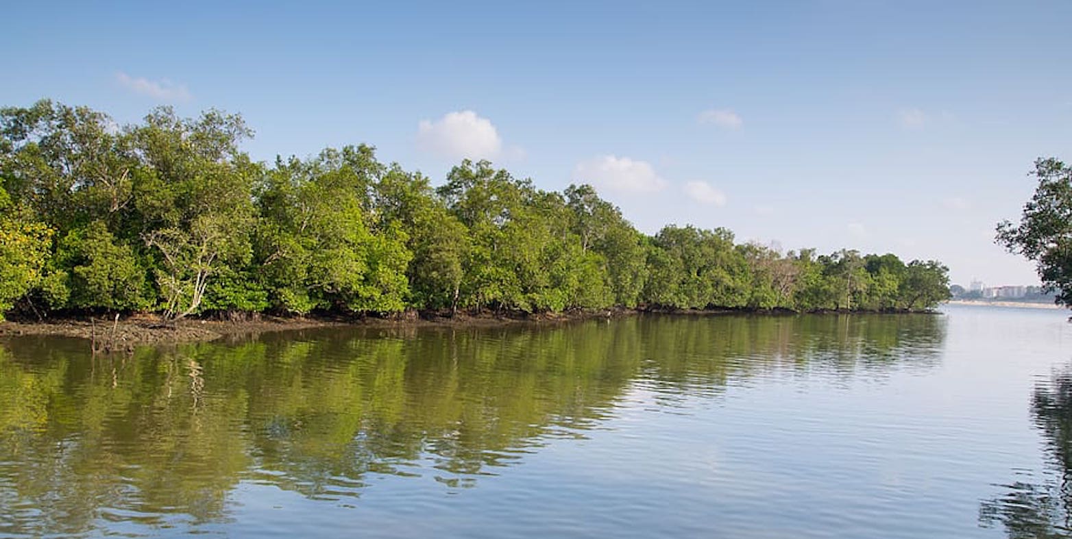 Quantifying The Scientific Value Of Ecosystems – Singapore-eth Centre 