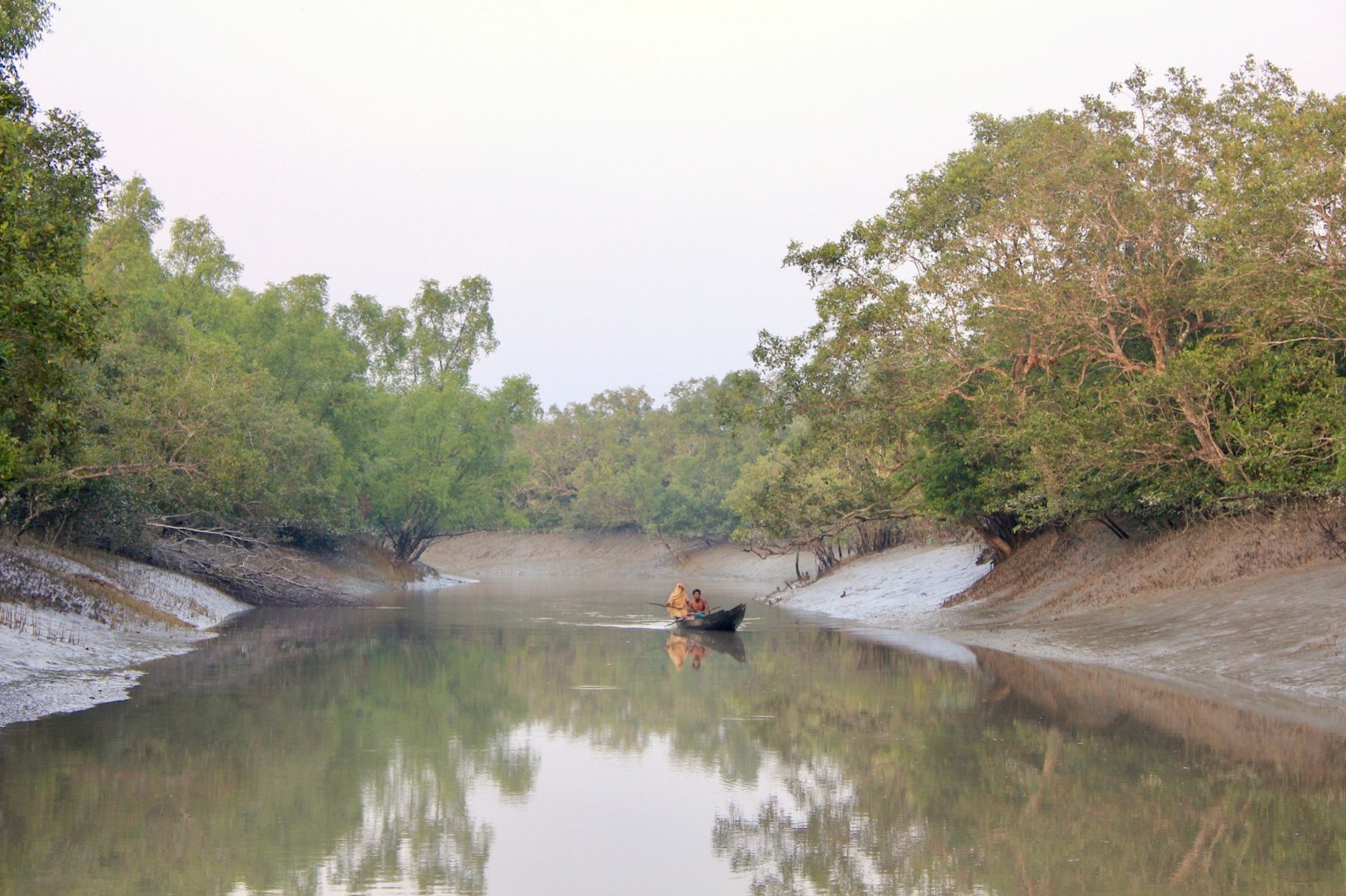 Quantifying net loss of global mangrove carbon stocks from 20 years of land cover change