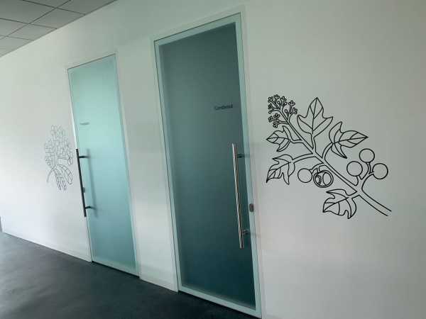 Frangipani and Candlenut meeting rooms at level 6, back to back with the Attap and Petai meeting rooms (this cluster was recently known as the 